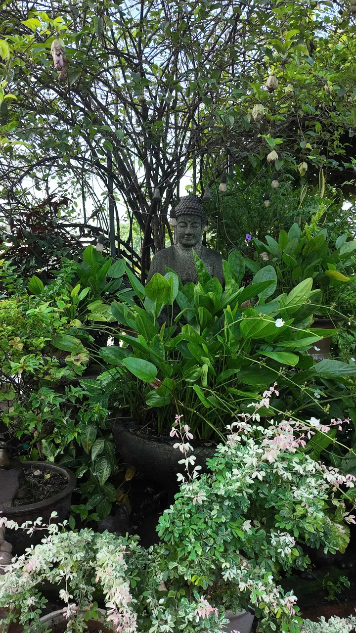 Bouddha assis dans un jardin tropical